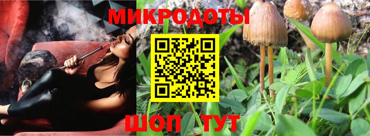 Псилоцибиновые грибы MAGIC MUSHROOMS  Псилоцибиновые грибы мухоморы  Кимовск  Вход с VPN 